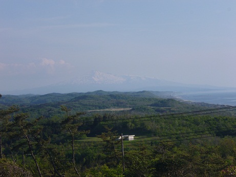 d0129083_13639.jpg