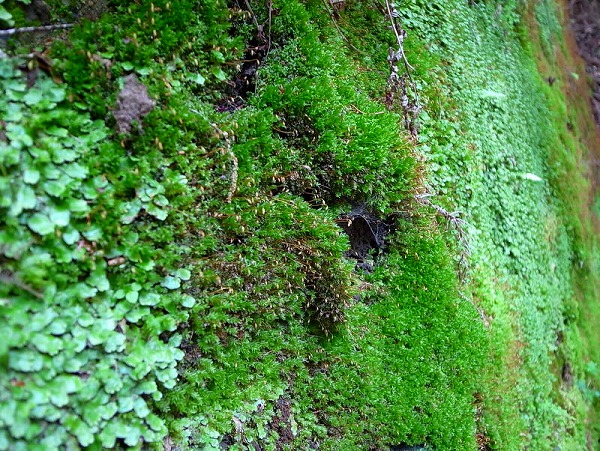 f0238184_17105981.jpg