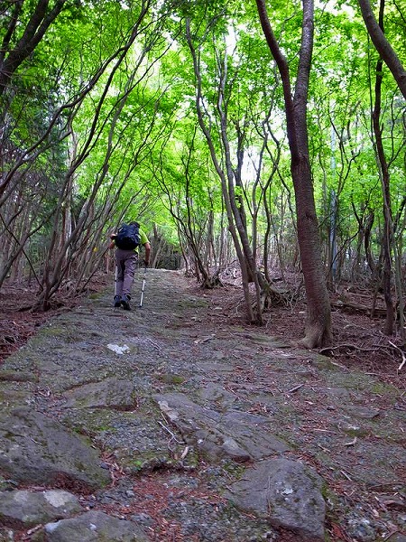 f0238184_17172459.jpg