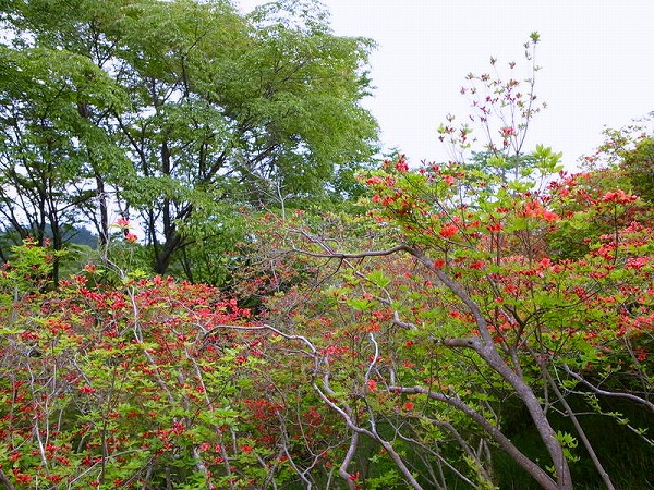 f0238184_17301044.jpg