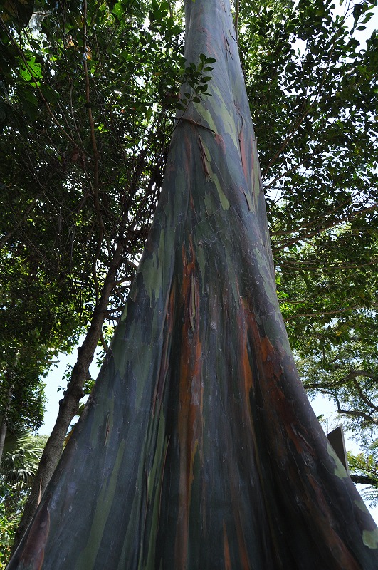 c0240388_17285867.jpg
