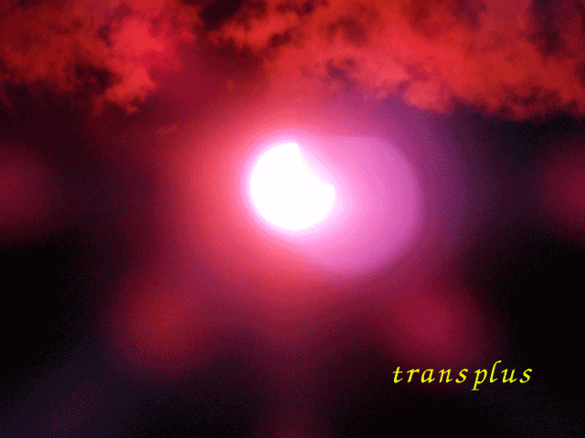 b0031493_21424185.gif