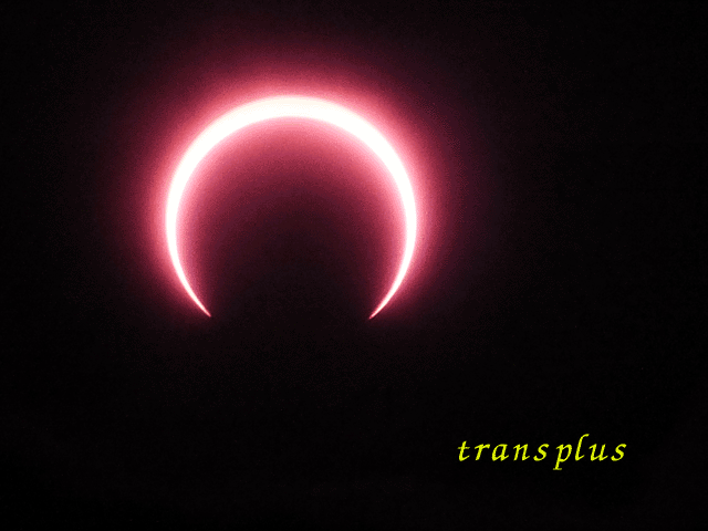 b0031493_2145114.gif