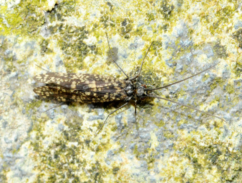 d0163696_20235736.jpg