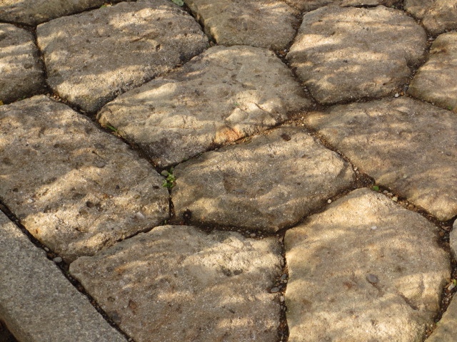 a0193698_19265799.jpg