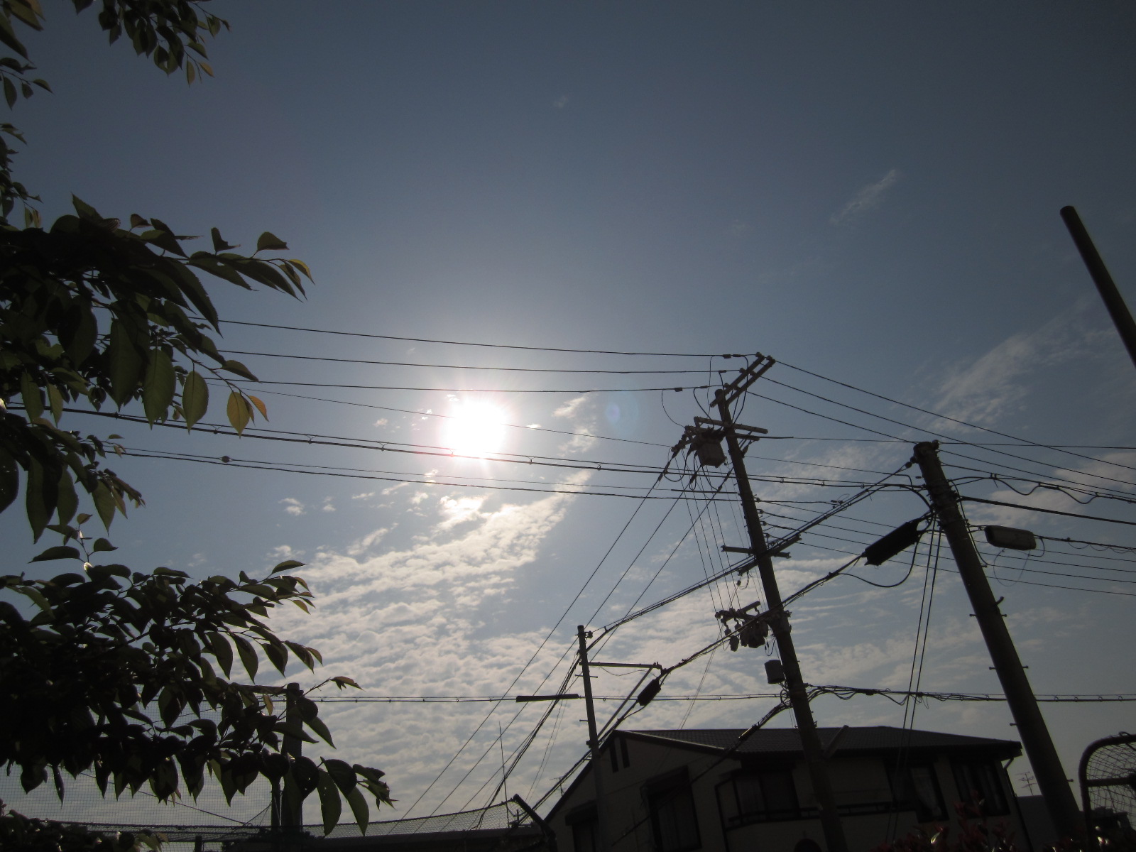 f0013998_15481852.jpg