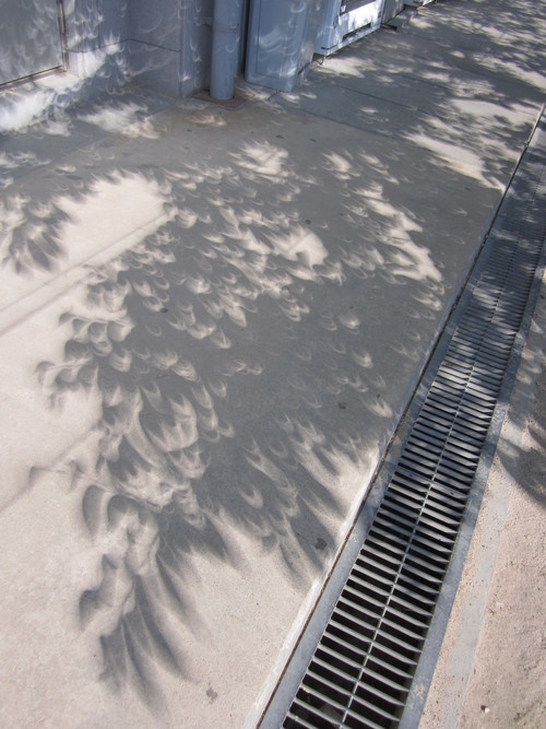 f0013998_15492443.jpg