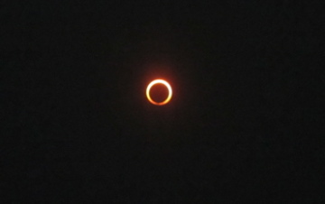 a0117599_13484348.jpg