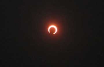 a0117599_13491724.jpg
