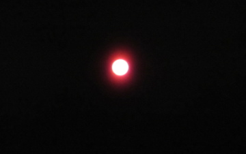 a0117599_13572082.jpg