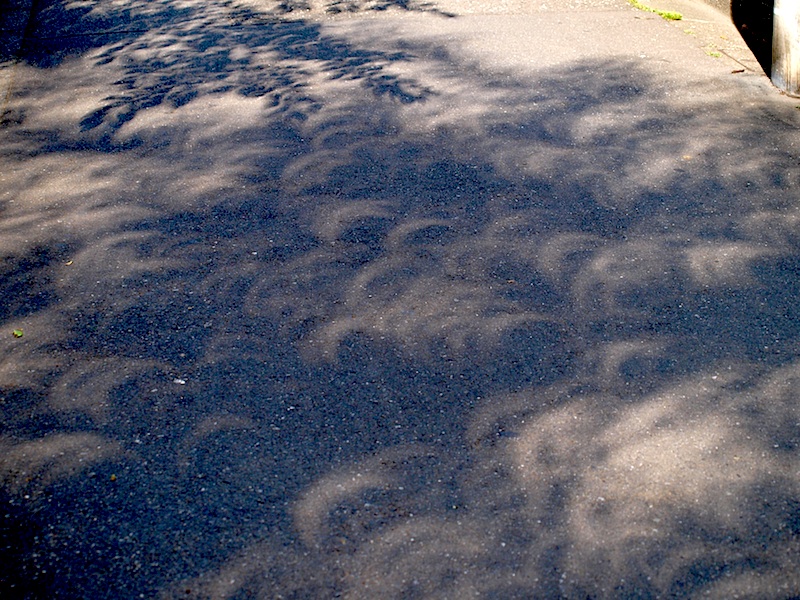 f0108399_10352141.jpg
