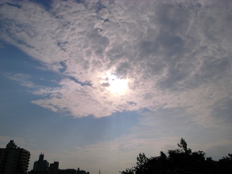 f0108399_23111741.jpg
