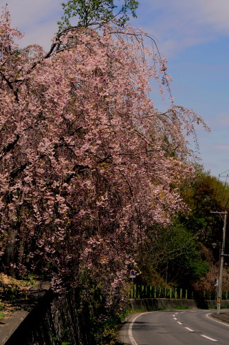 c0190900_6174455.jpg
