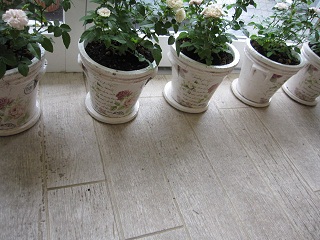 c0152002_20295896.jpg