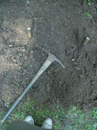 e0206902_17494.jpg