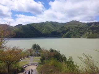 c0060308_1116928.jpg