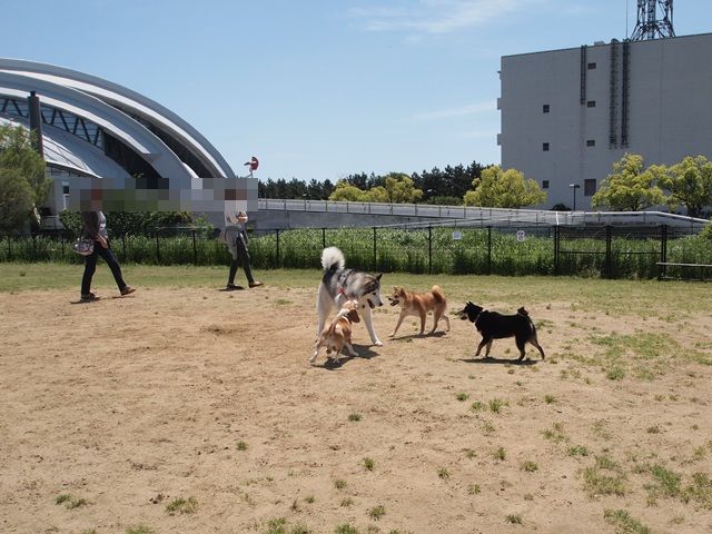 b0207615_15192055.jpg