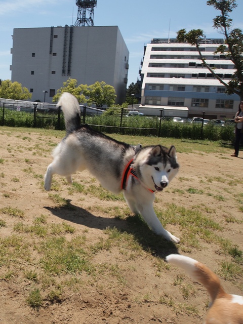 b0207615_15192685.jpg