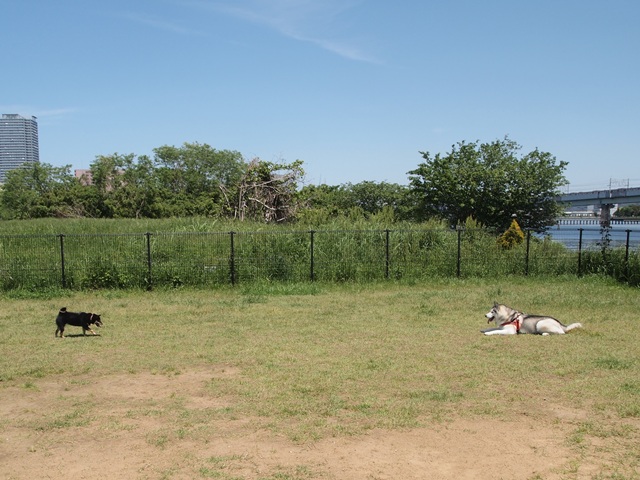 b0207615_15192965.jpg