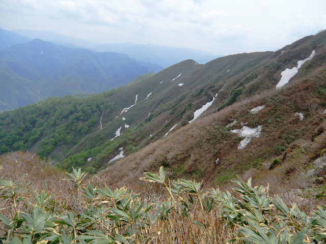 d0170615_13454128.jpg
