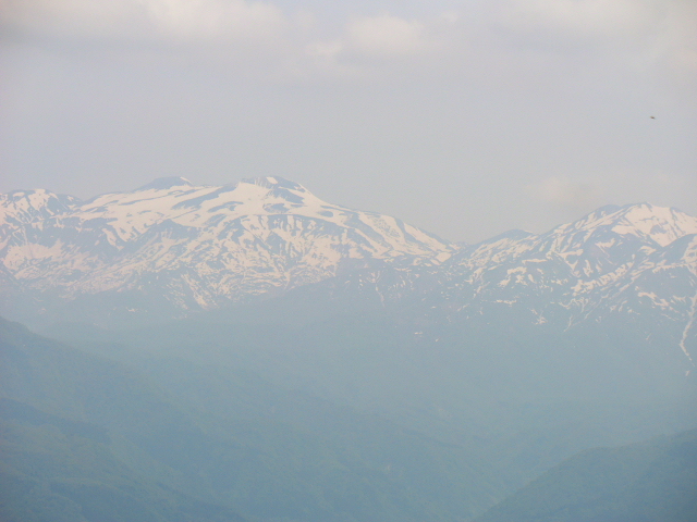 d0170615_13455490.jpg