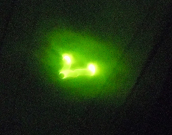 c0083817_6402542.jpg