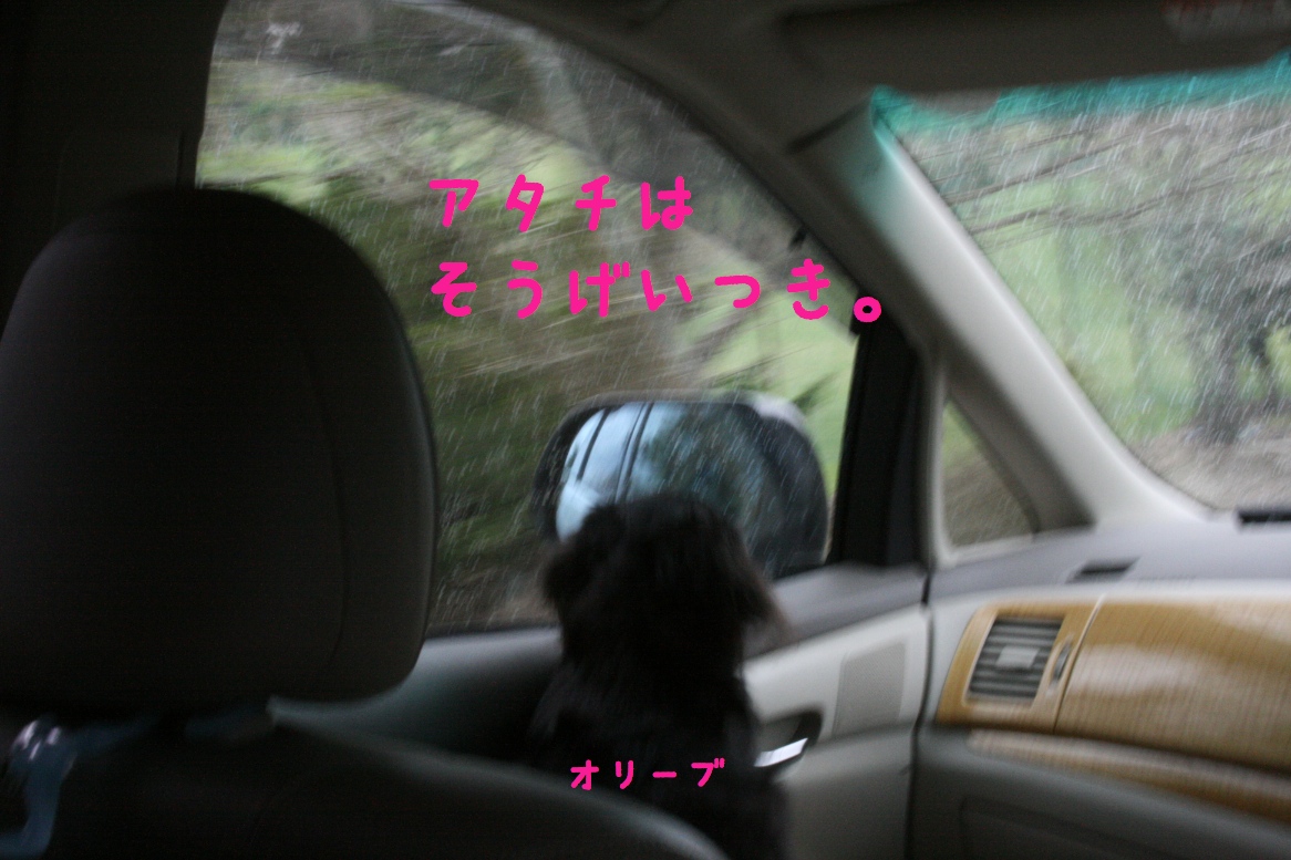 c0237824_02288.jpg