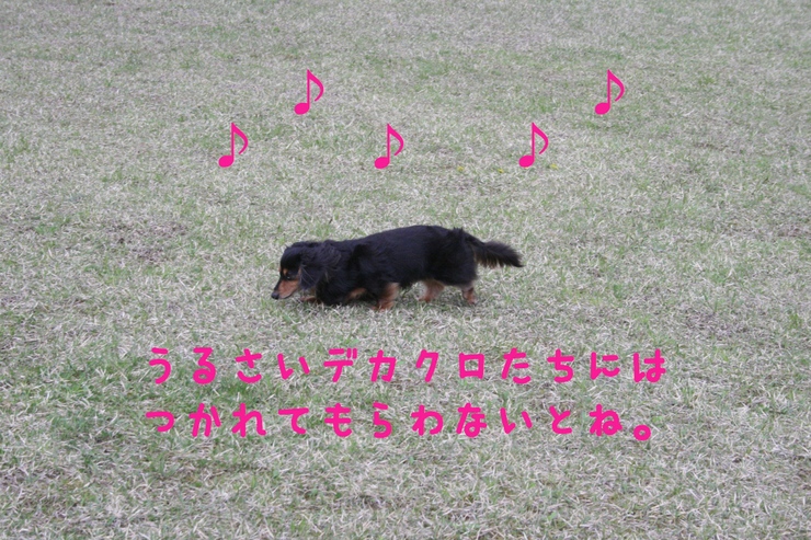 c0237824_03485.jpg