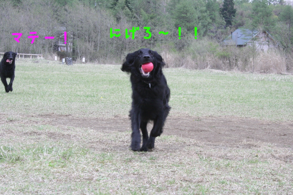 c0237824_10363882.jpg