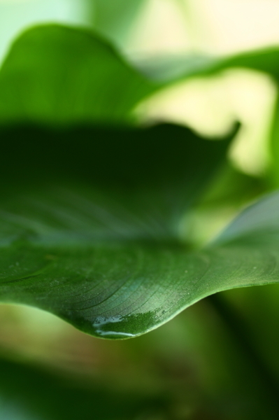 b0042527_8511097.jpg