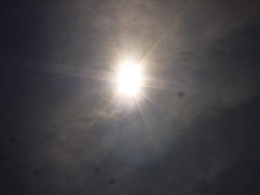 b0138430_12522163.jpg