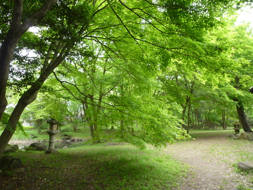 b0138430_138211.jpg