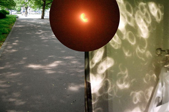 e0247832_28639.jpg