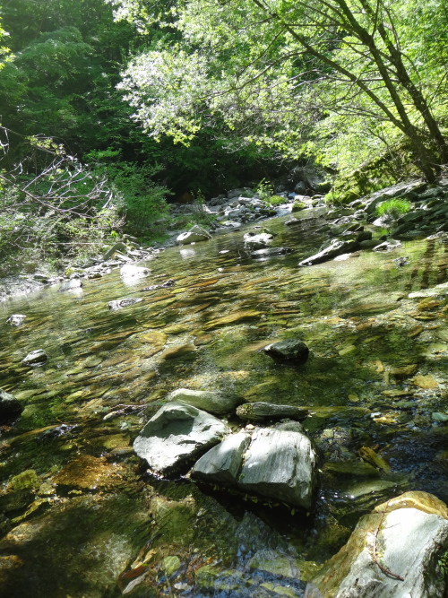 a0156834_0355355.jpg