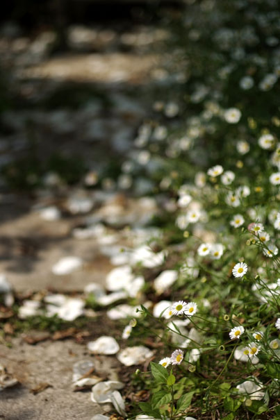 b0075541_3244680.jpg