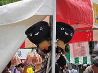 e0080345_824510.jpg