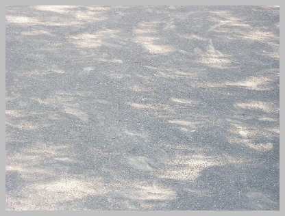 d0148347_372767.jpg