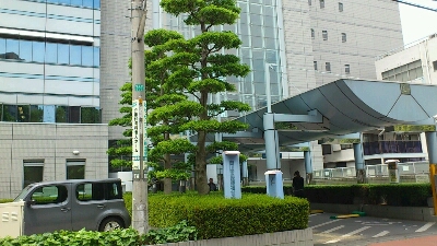 a0177648_1250826.jpg