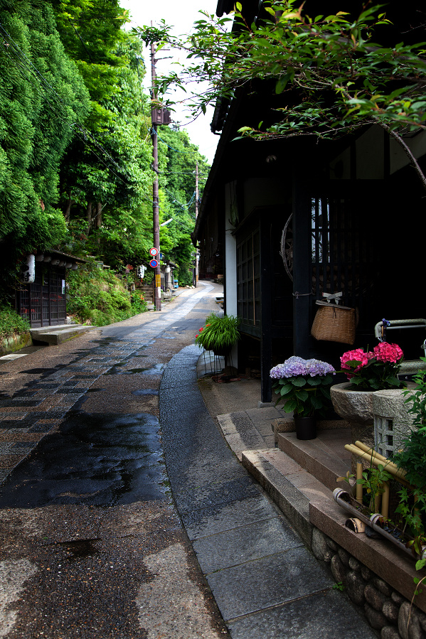 d0141053_2231331.jpg