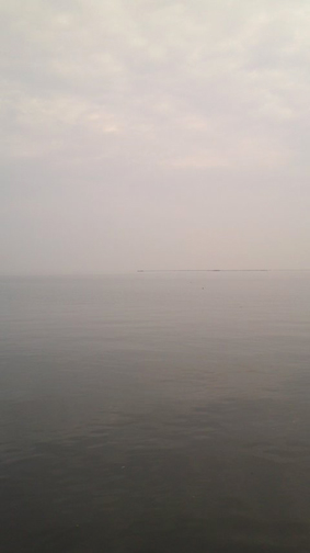 f0178153_7313015.jpg