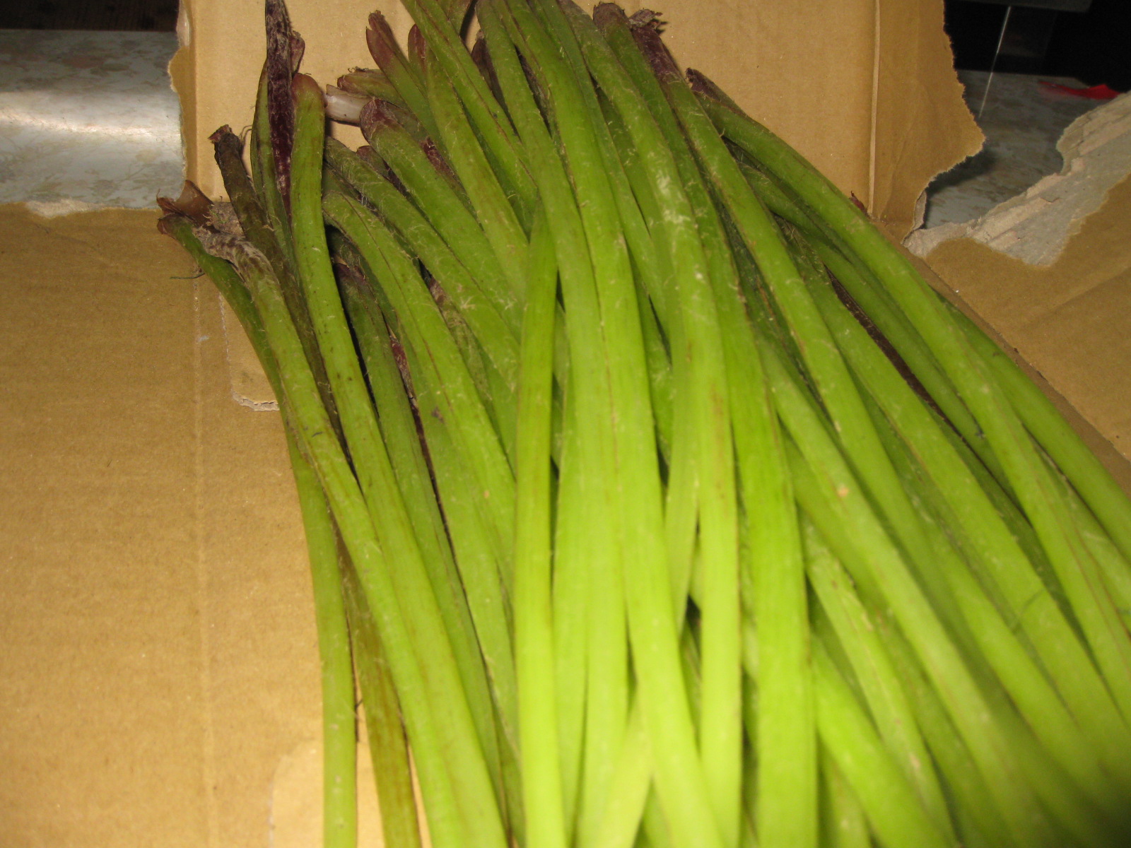 a0183257_19372657.jpg