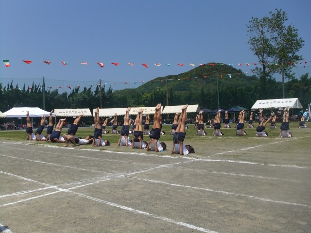 b0208358_1072425.jpg
