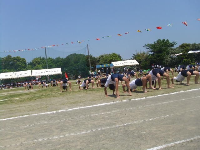 b0208358_1075483.jpg