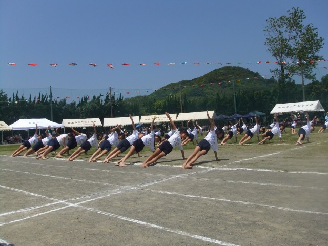b0208358_108759.jpg