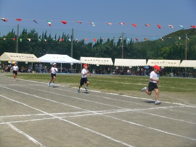 b0208358_928479.jpg