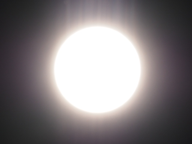 b0059260_10224418.jpg