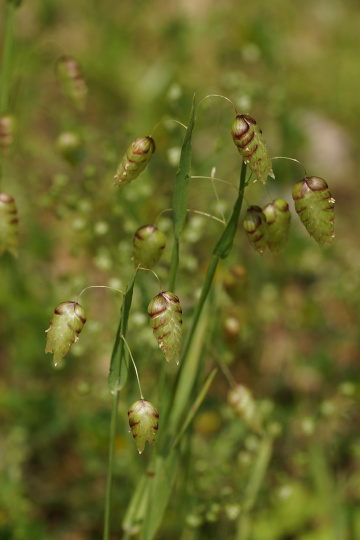 e0054067_238182.jpg