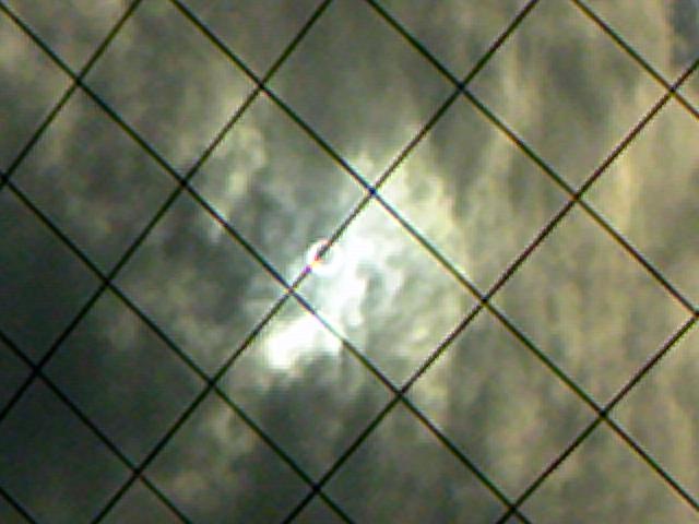 e0031568_1235253.jpg