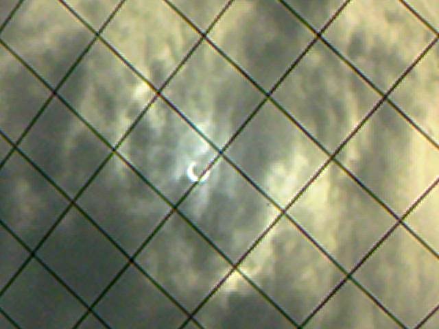 e0031568_1235824.jpg