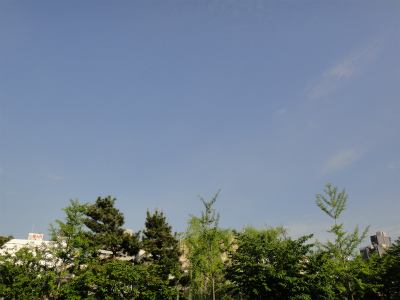 d0182075_21374194.jpg